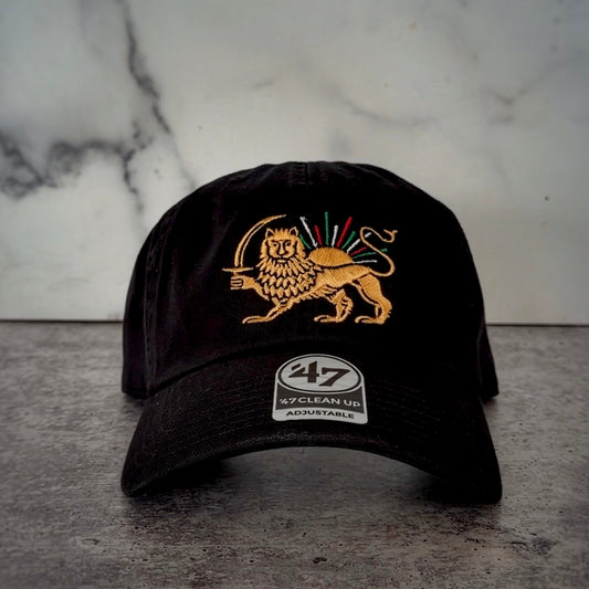 The Lion and the Persian Sun Dad Hat - Iranian Flag Rays of Sun