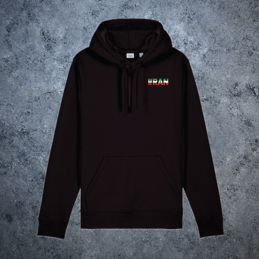 The Lion and the Sun Sustainable and Organic Hooded Sweatshirt