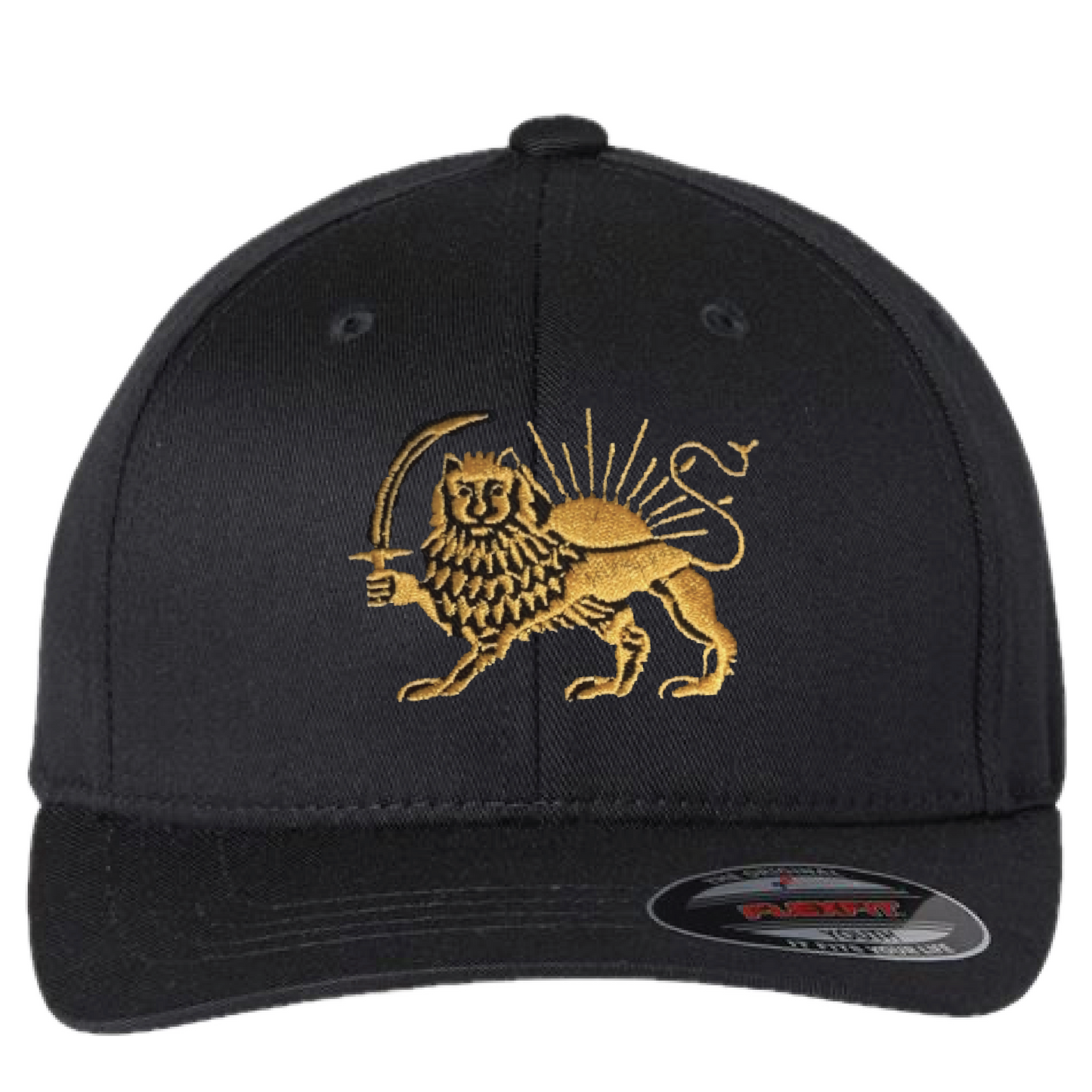 YOUTH - The Lion and the Sun Baseball Hat