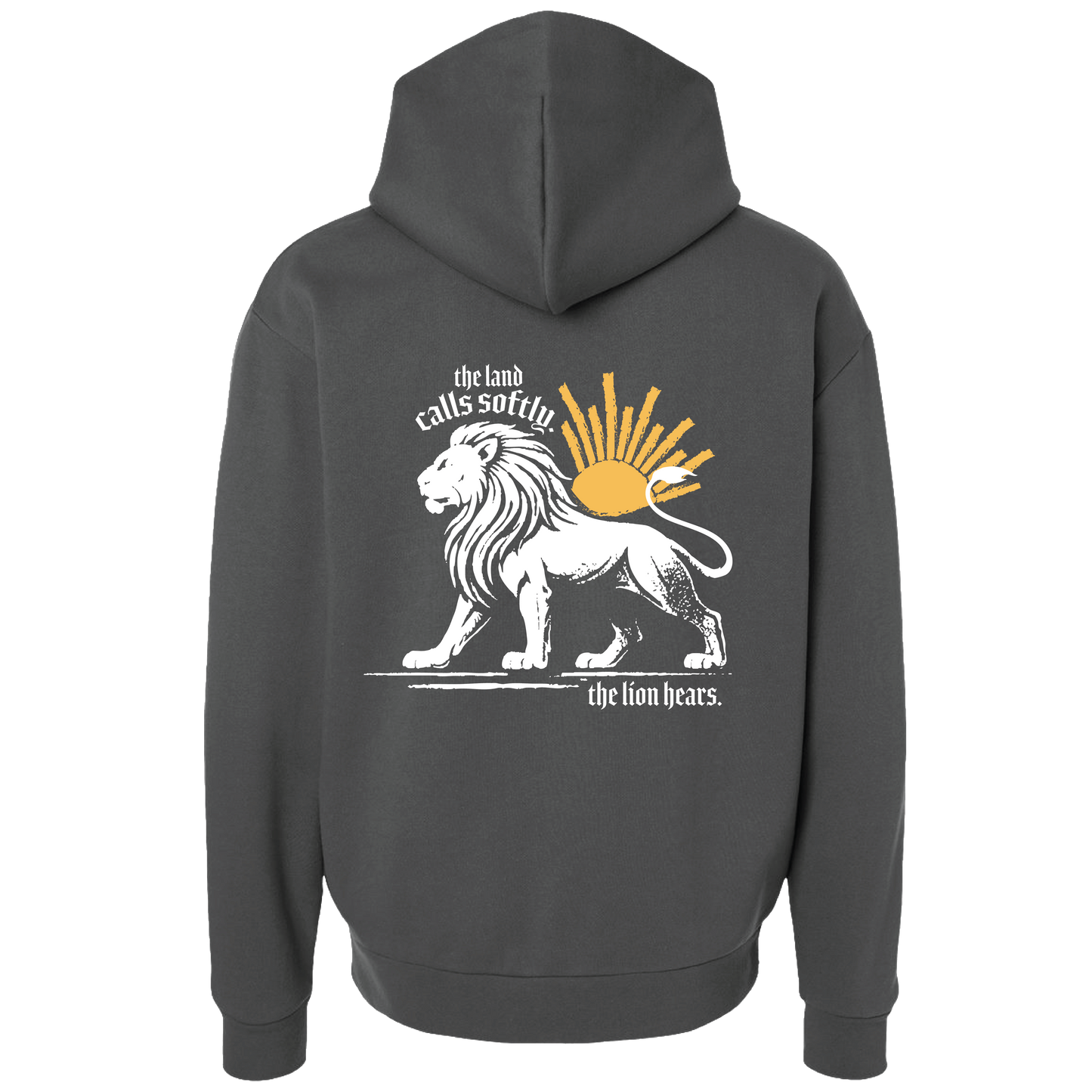 The Lion and the Sun Baggy Hoodie