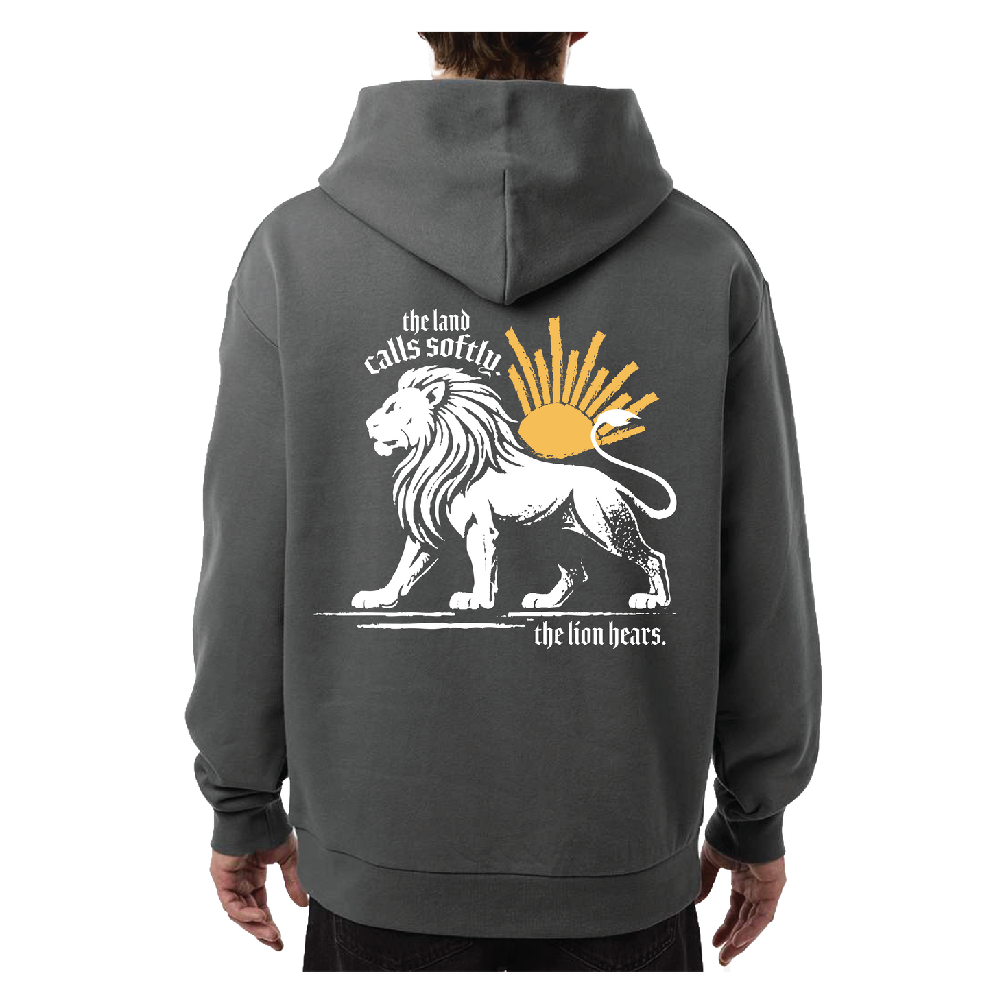 The Lion and the Sun Baggy Hoodie