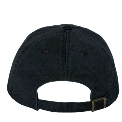 The Lion and the Sun Dad Hat - All Gold